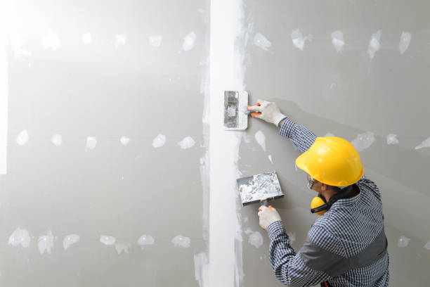 Best Comprehensive Air Testing for Mold Contaminants  in Surfside, FL
