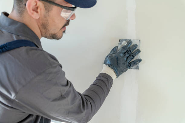 Best Mold Odor Removal Services  in Surfside, FL